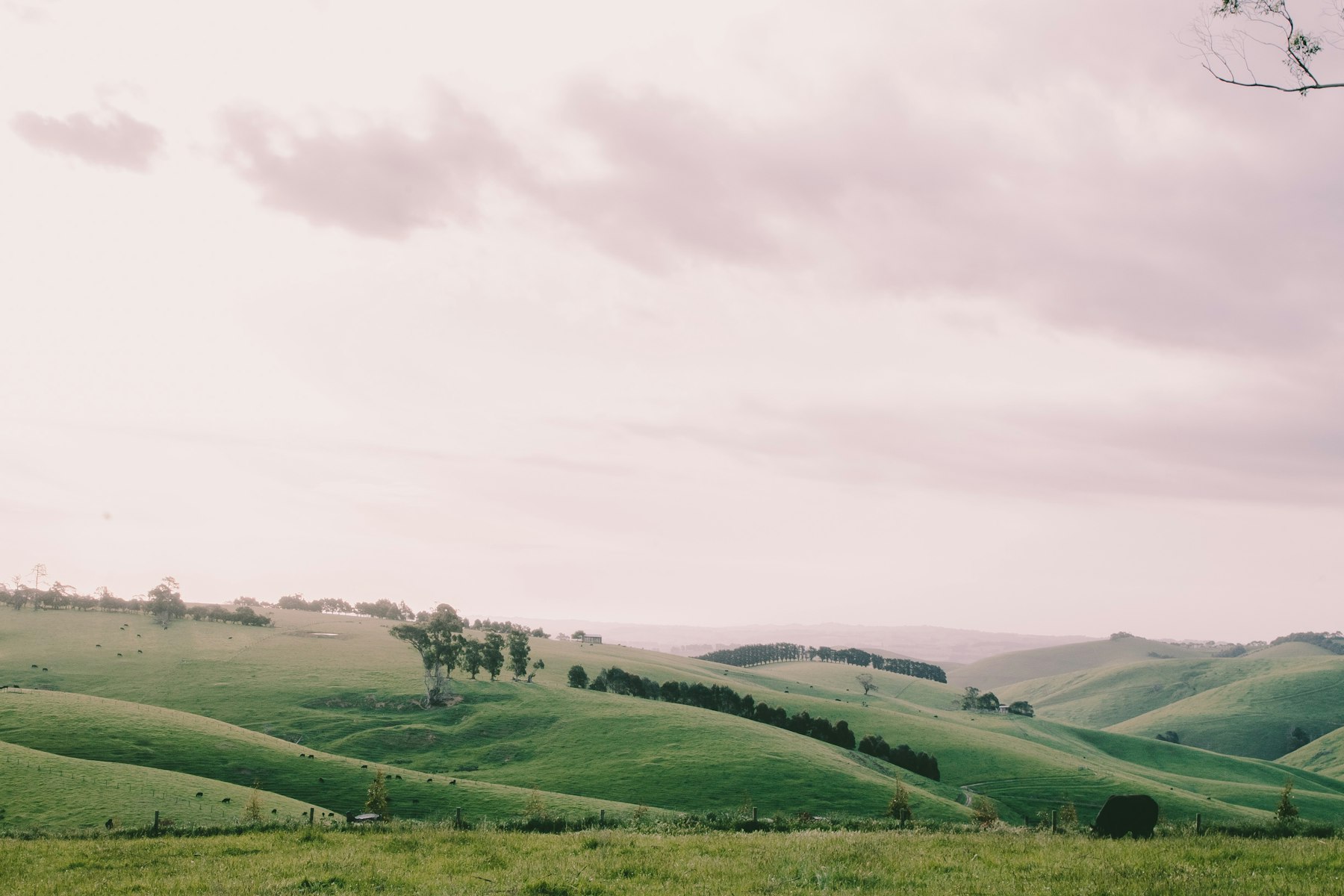 Green hillside under open sky